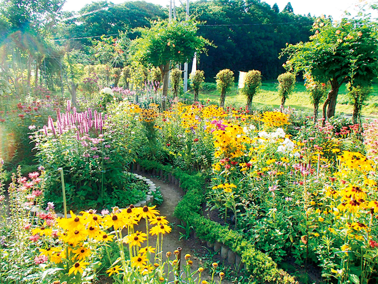 オープンガーデン愛の花園（会津、喜多方市） - 花の王国ふくしま