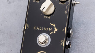 レビュー】Vivie WildCat Vivieはいいぞ！この歪み、使えるぞ