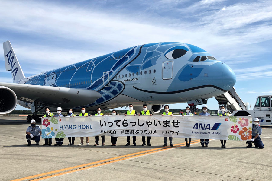 ANA、「フライングホヌ」の遊覧フライト実施 新千歳空港発着で