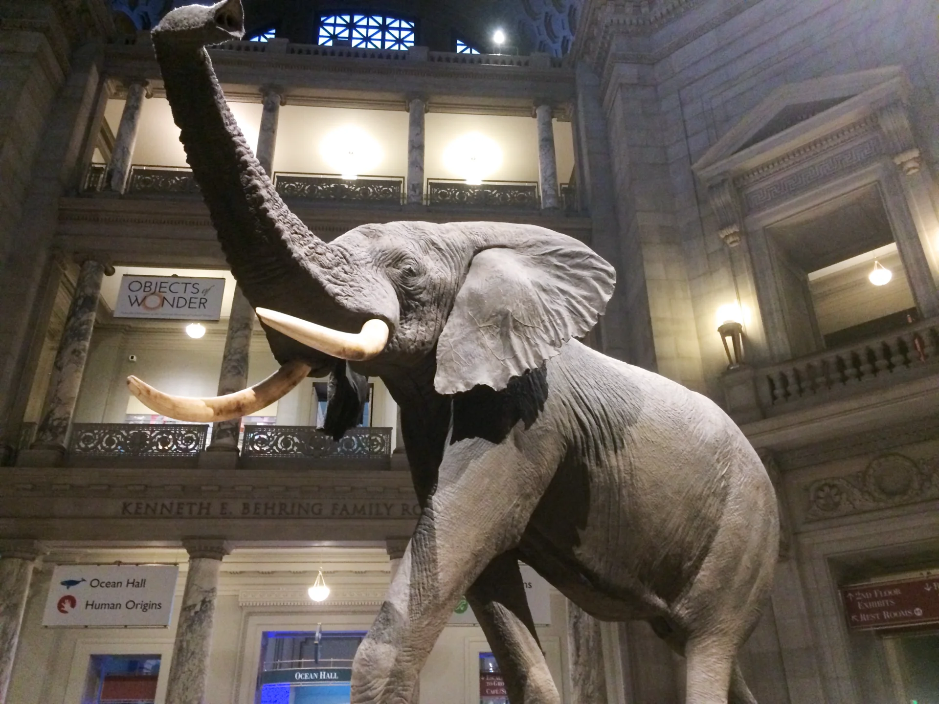 初代会長はジョセフ・ヘンリー氏！スミソニアン自然史博物館へ行ったら