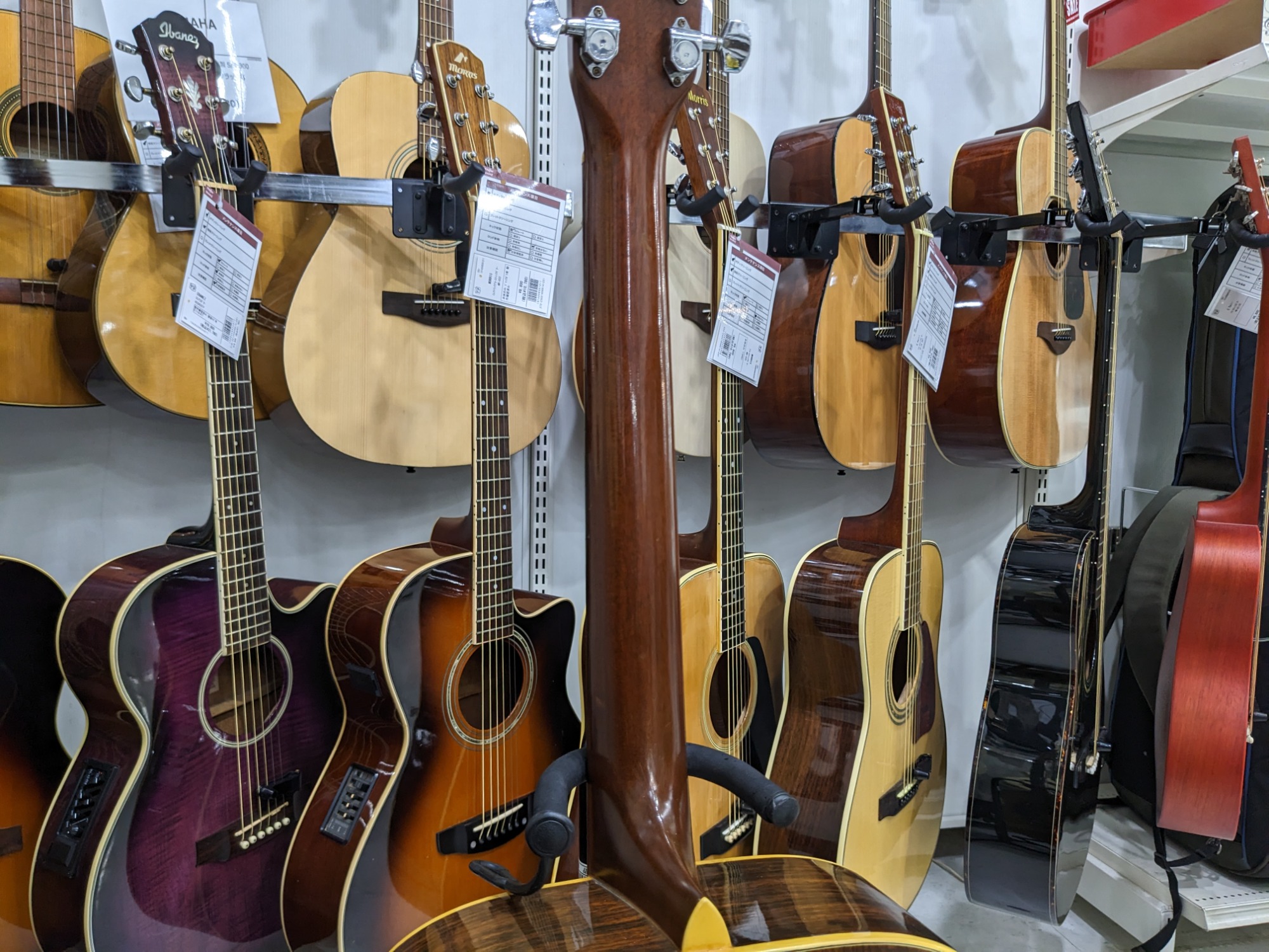 SUZUKI VIOLIN アコースティックギター F500入荷!!｜2023年03月09日