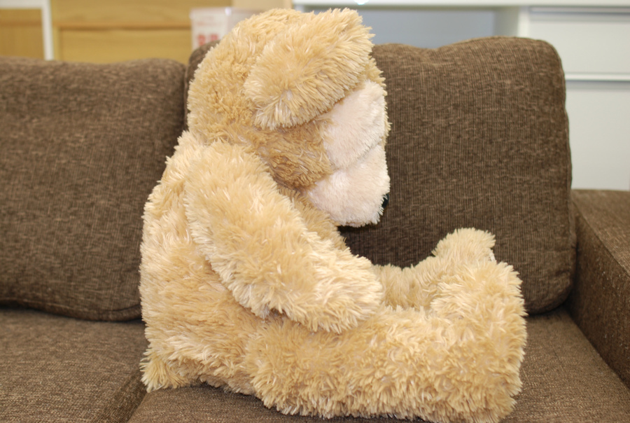 Mサイズダッフィー、Sサイズシェリーメイのぬいぐるみ買取入荷致し