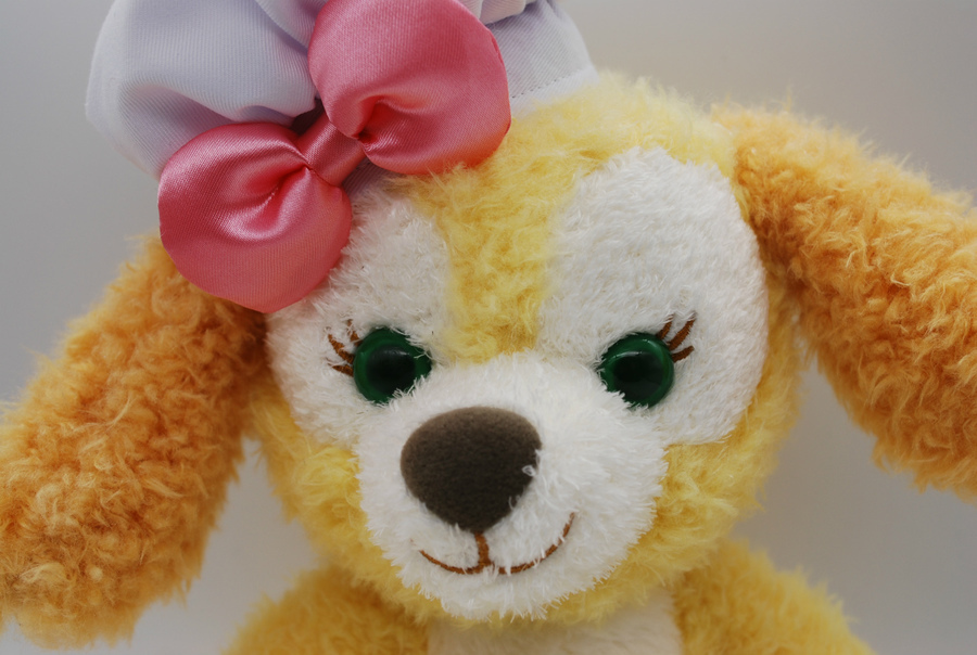 未使用品のクッキー・アンのぬいぐるみ(Sサイズ)が入荷致しました