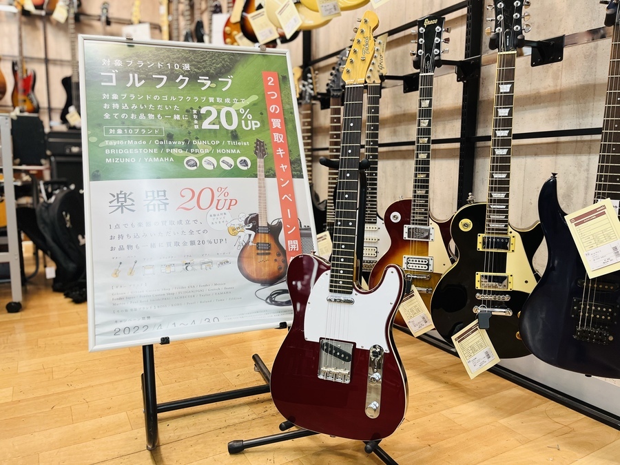 tokai (トーカイ)のテレキャスター breezy sound が入荷しました