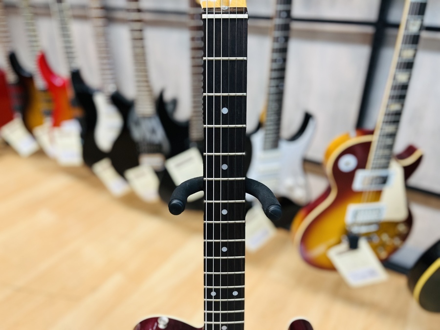 tokai (トーカイ)のテレキャスター breezy sound が入荷しました