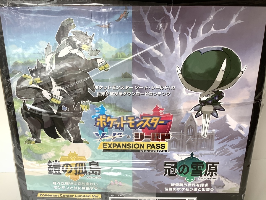 ポケモンセンター限定トレーナーぬいぐるみセットが入荷しました