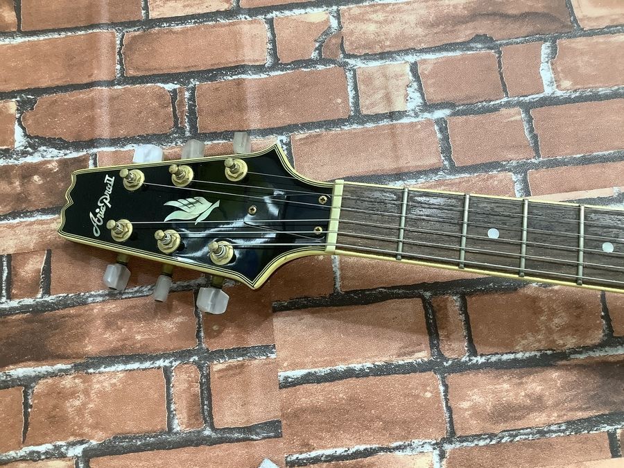 Aria Pro 2 TA-02 セミアコギターを買取入荷致しました。｜2022年04月