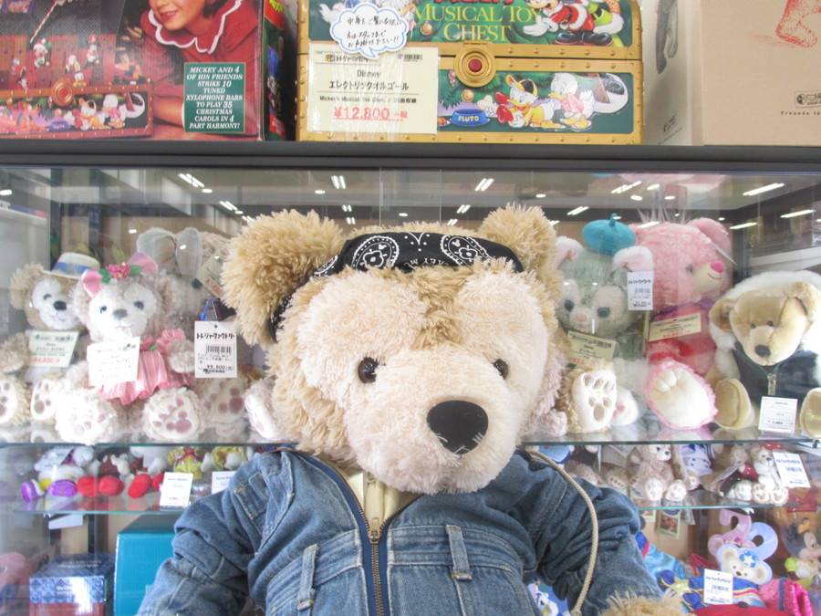 おゆみ野店】Mサイズ ダッフィーのぬいぐるみが入荷♪ ｜2016年05月23