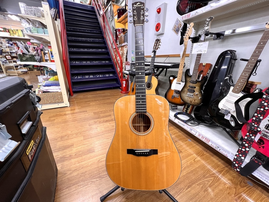 MORRIS】アコースティックギターM1002買取入荷しました！｜2022年05月