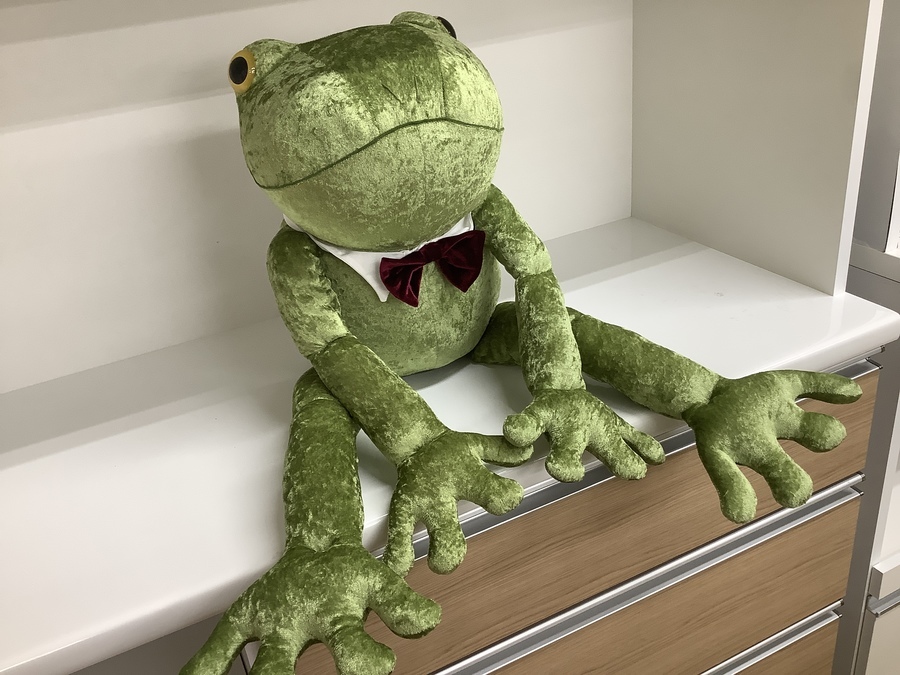 mon seuil/モンスイユのキュートなカエルちゃんが入荷しました☆【東