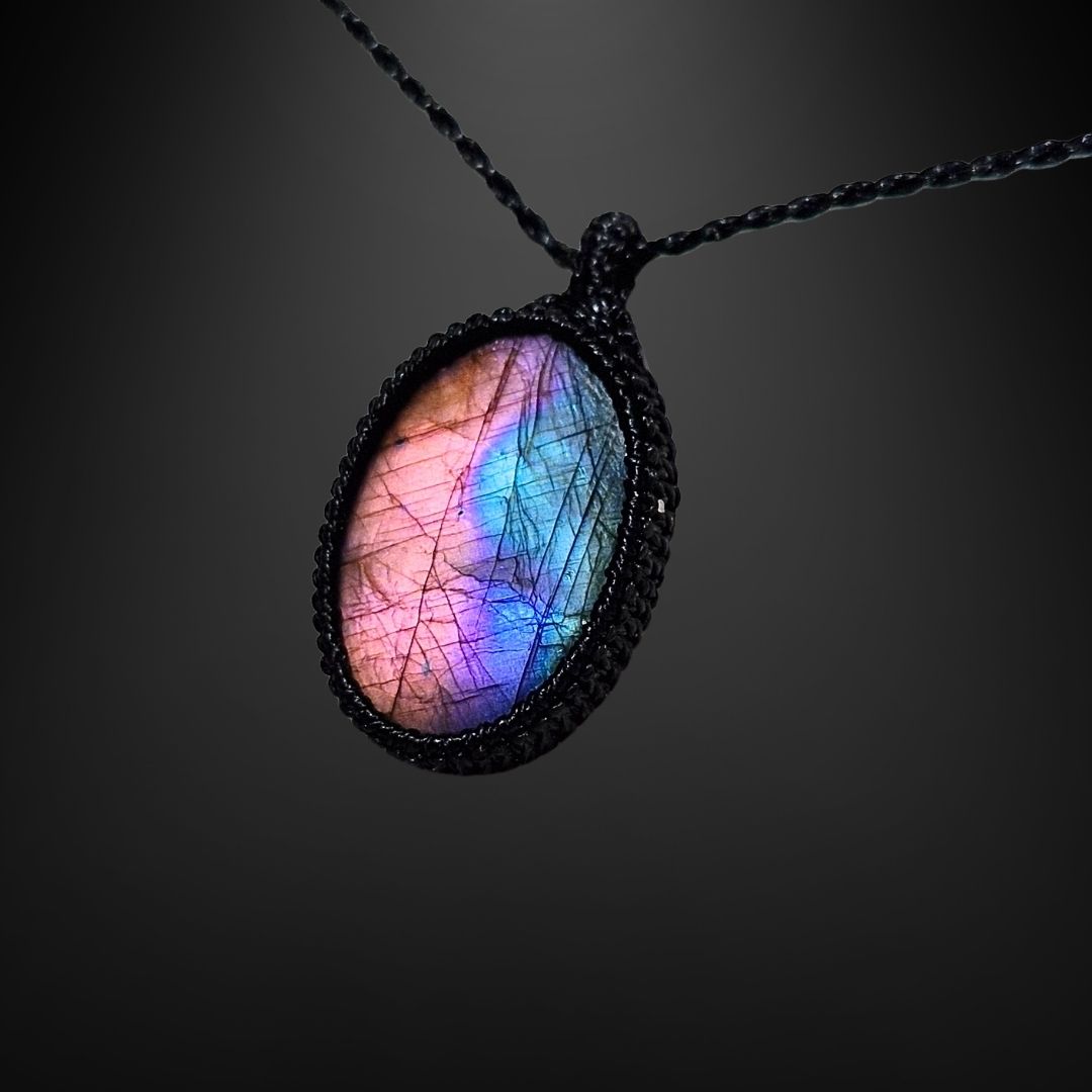 ユニバースナビゲーション