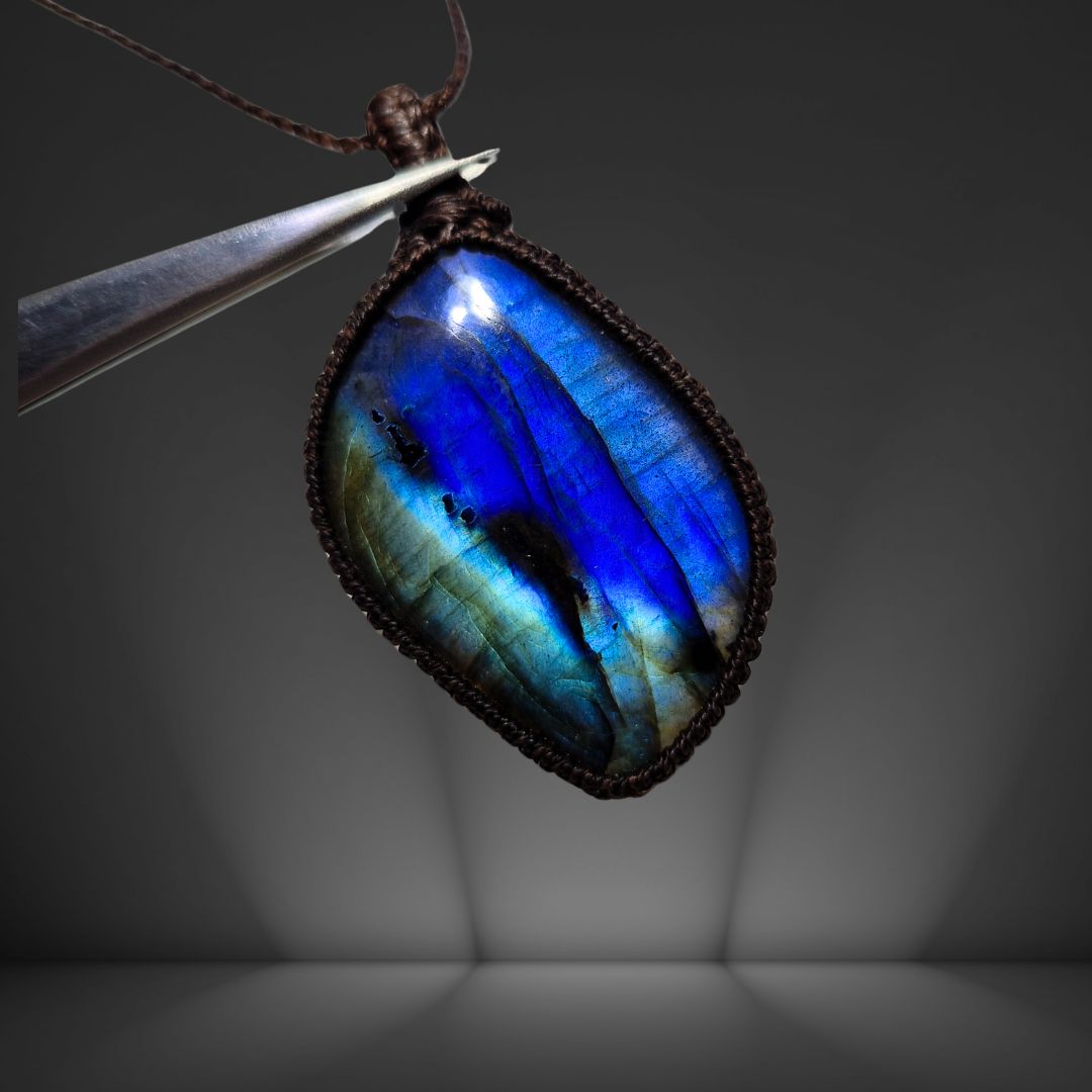 蒼瑠（そうる）