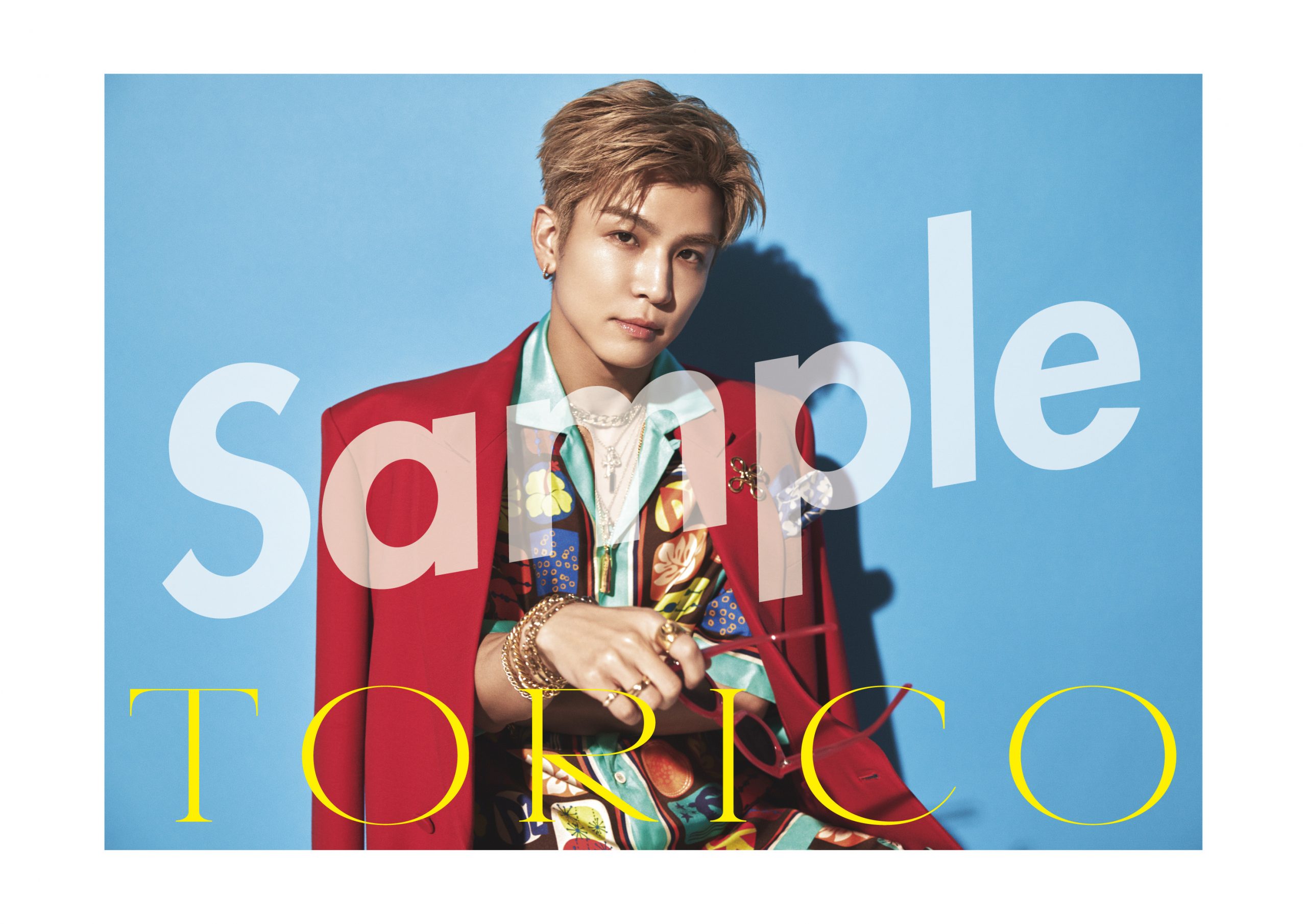 2025年8月6日リリース「TORICO」封入トレカ（全25種）＆ポスター絵柄