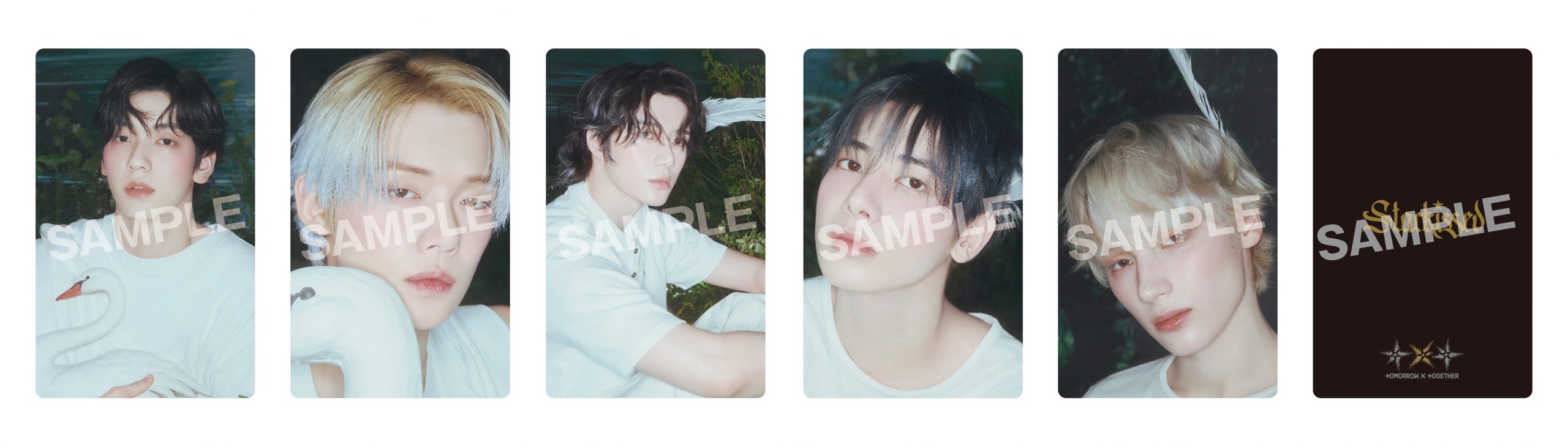 TOMORROW X TOGETHER日本3rdアルバム『Starkissed』CD購入特典絵柄公開