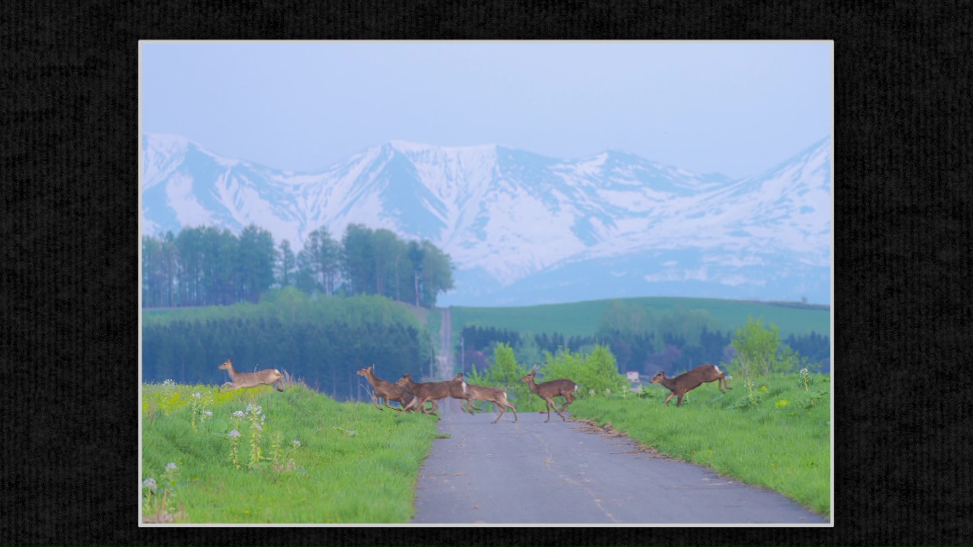 北海道の知られざる絶景2025】“奇跡の一瞬”を追い続ける風景写真家