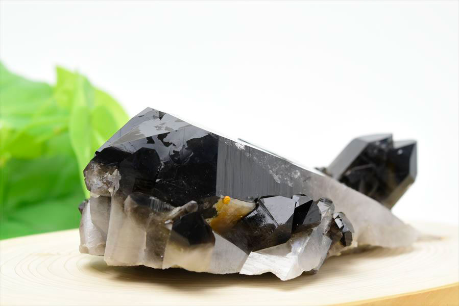 アーカンソー産 黒水晶（スモーキークォーツ）クラスター原石｜原産地