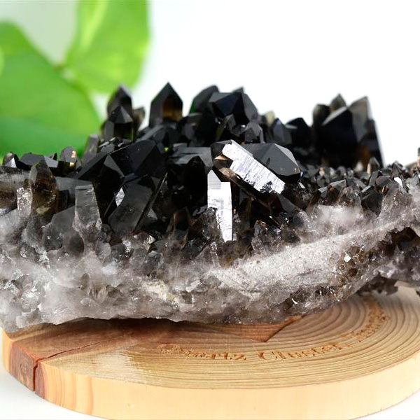 アーカンソー産 黒水晶（スモーキークォーツ）クラスター原石｜原産地