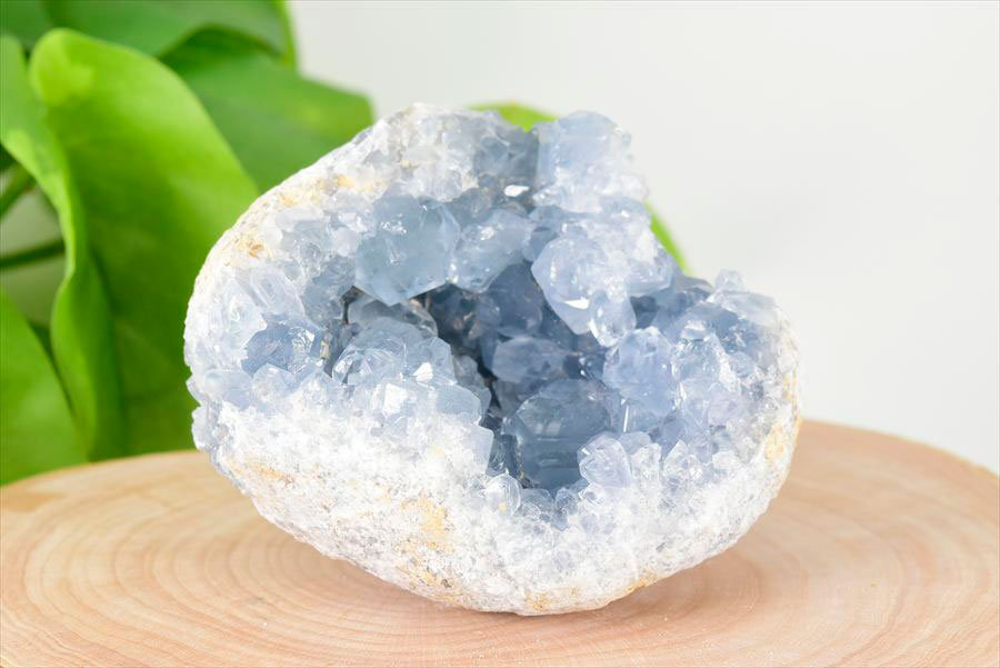 マダガスカル産 セレスタイト クラスター 原石｜天青石｜浄化