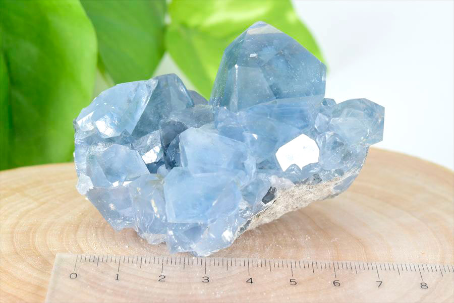 マダガスカル産 セレスタイト クラスター 原石｜天青石｜浄化