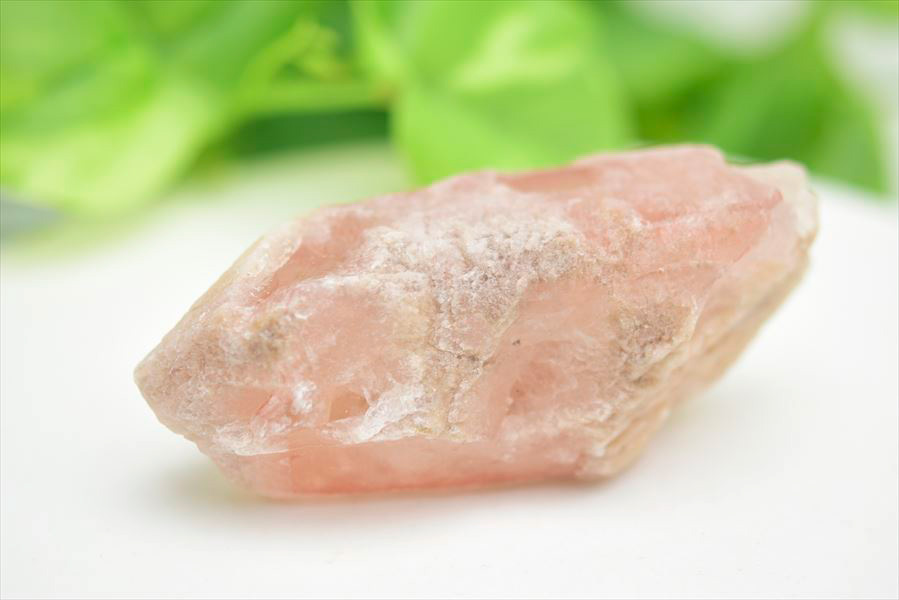 ピンクレムリアン（ドリームシクル）｜レムリアンシードクリスタル