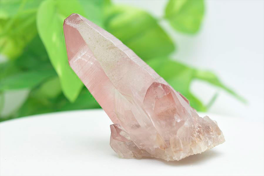 ピンクレムリアン クラスター 原石｜レムリアンシードクリスタル