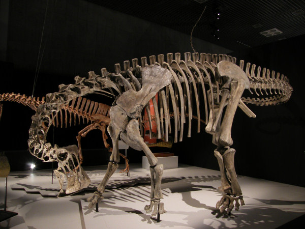 ニジェールサウルス - 恐竜・翼竜大図鑑（裏辺研究所）