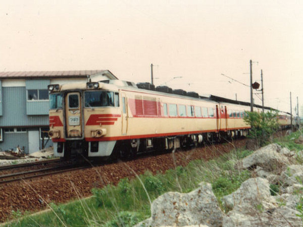 全国の列車ガイド（特急【つばさ】） - 日本の旅・鉄道見聞録