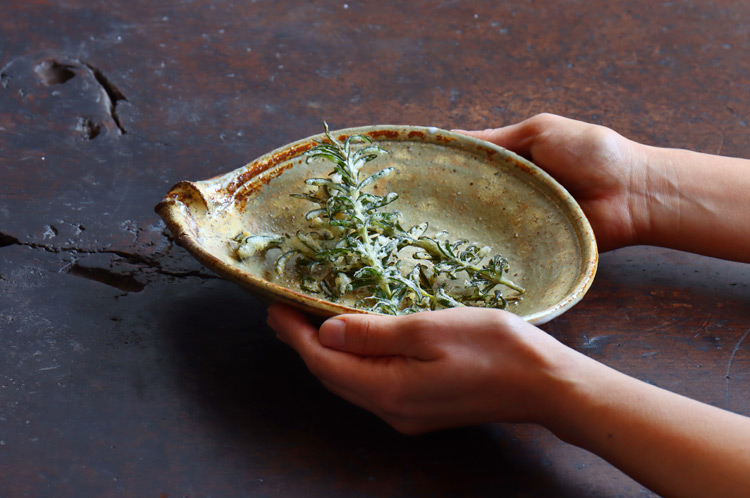片口鉢 工藤和彦 ｜ 暮らしのうつわ花田 和食器 通販