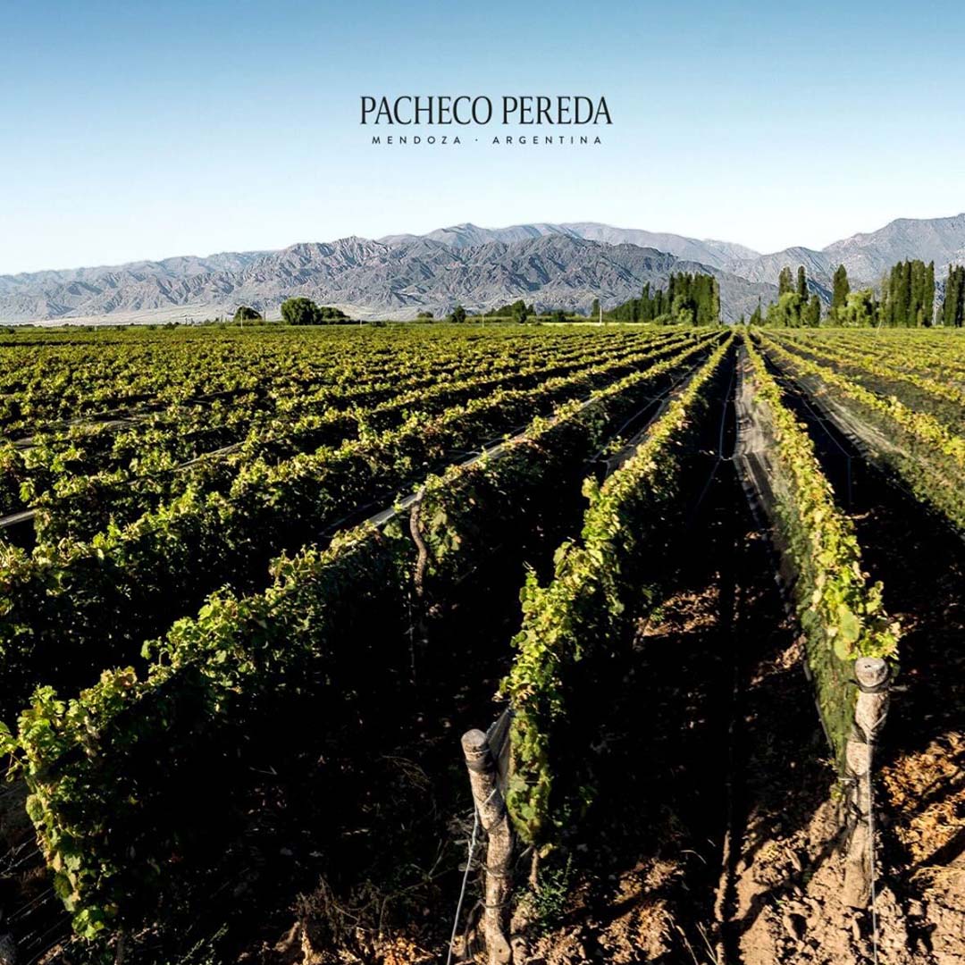 パチェコ・ペレダ ファミリア・デ・ヴィノス マルベック