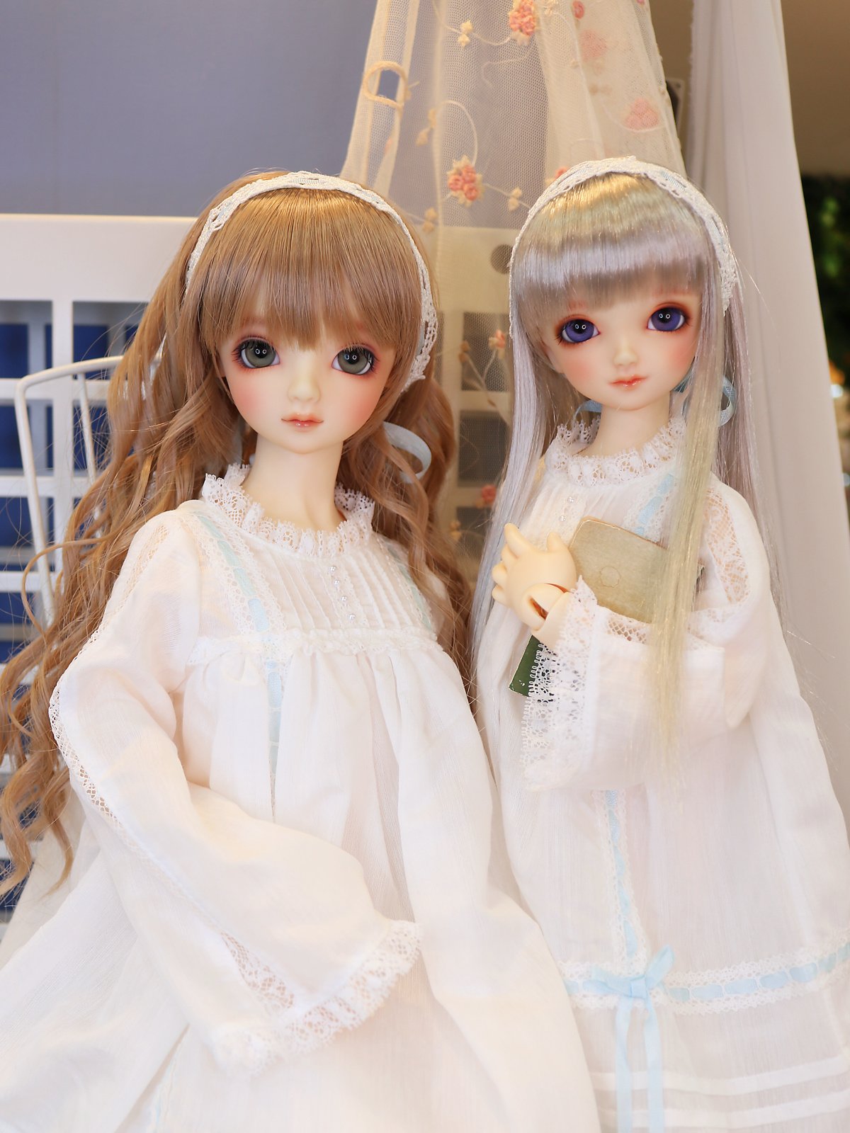 スーパードルフィー® ミディ（SDM）」ってどんな子たち？気になる方へ