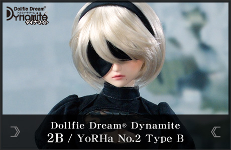 PRE-ORDER METHOD (*For customers in Japan) | DD受注限定企画 NieR