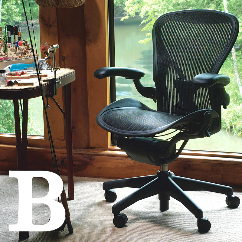 アーロンチェア グラファイトカラー ポスチャーフィット