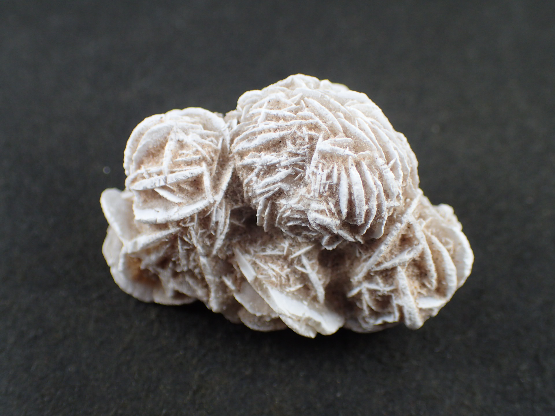 砂漠の薔薇（デザートローズ） ｜石の販売専門店【vec stone club】