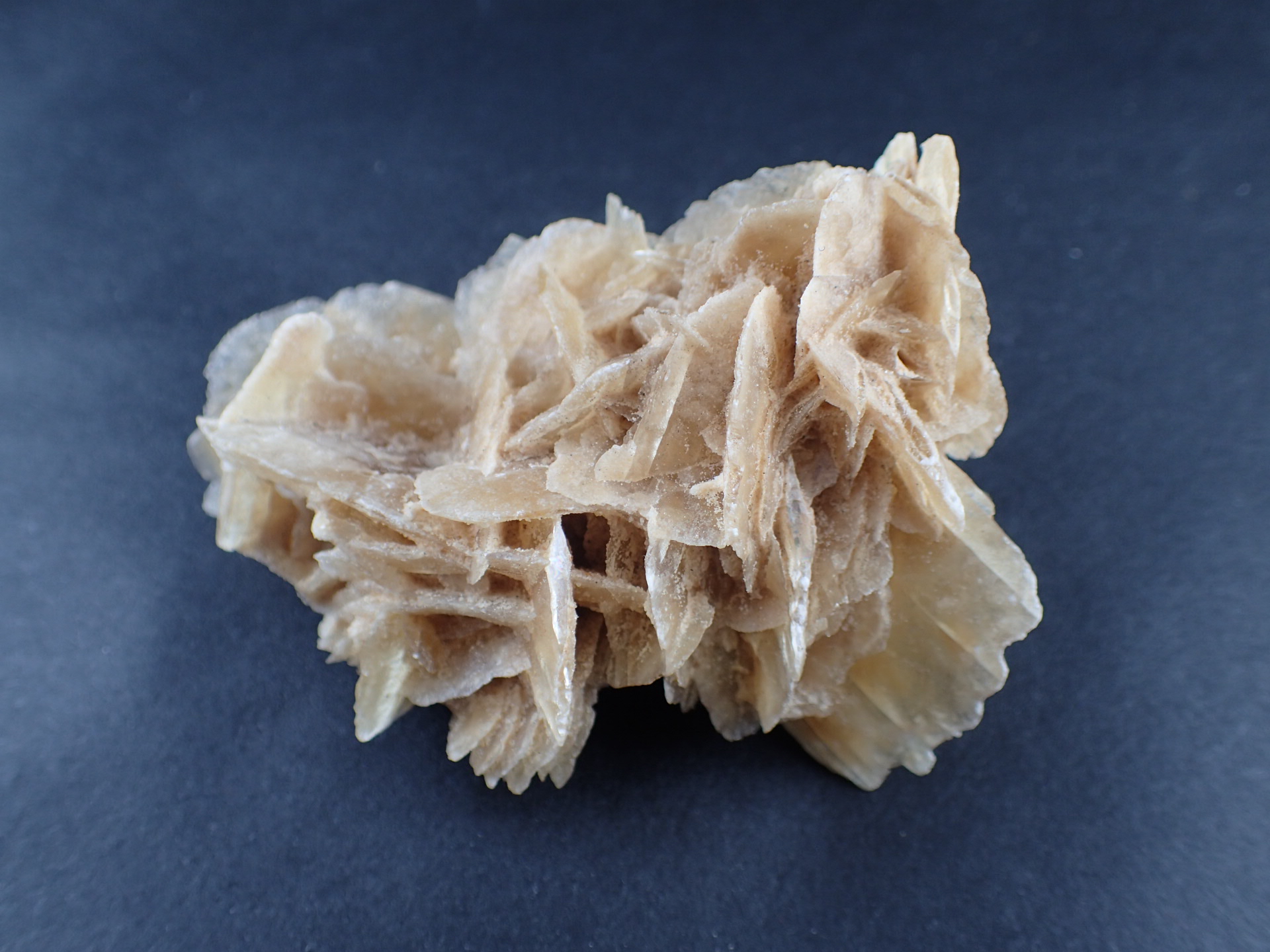 砂漠の薔薇（デザートローズ） ｜石の販売専門店【vec stone club】