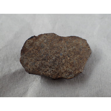 最高品質石質隕石（NWA869 Condrite） L4-6 コンドライト Foud