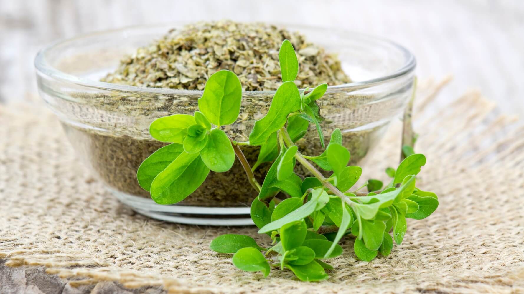 vol.410 美と愛の女神アフロディーテが創った香り「スイートマジョラム