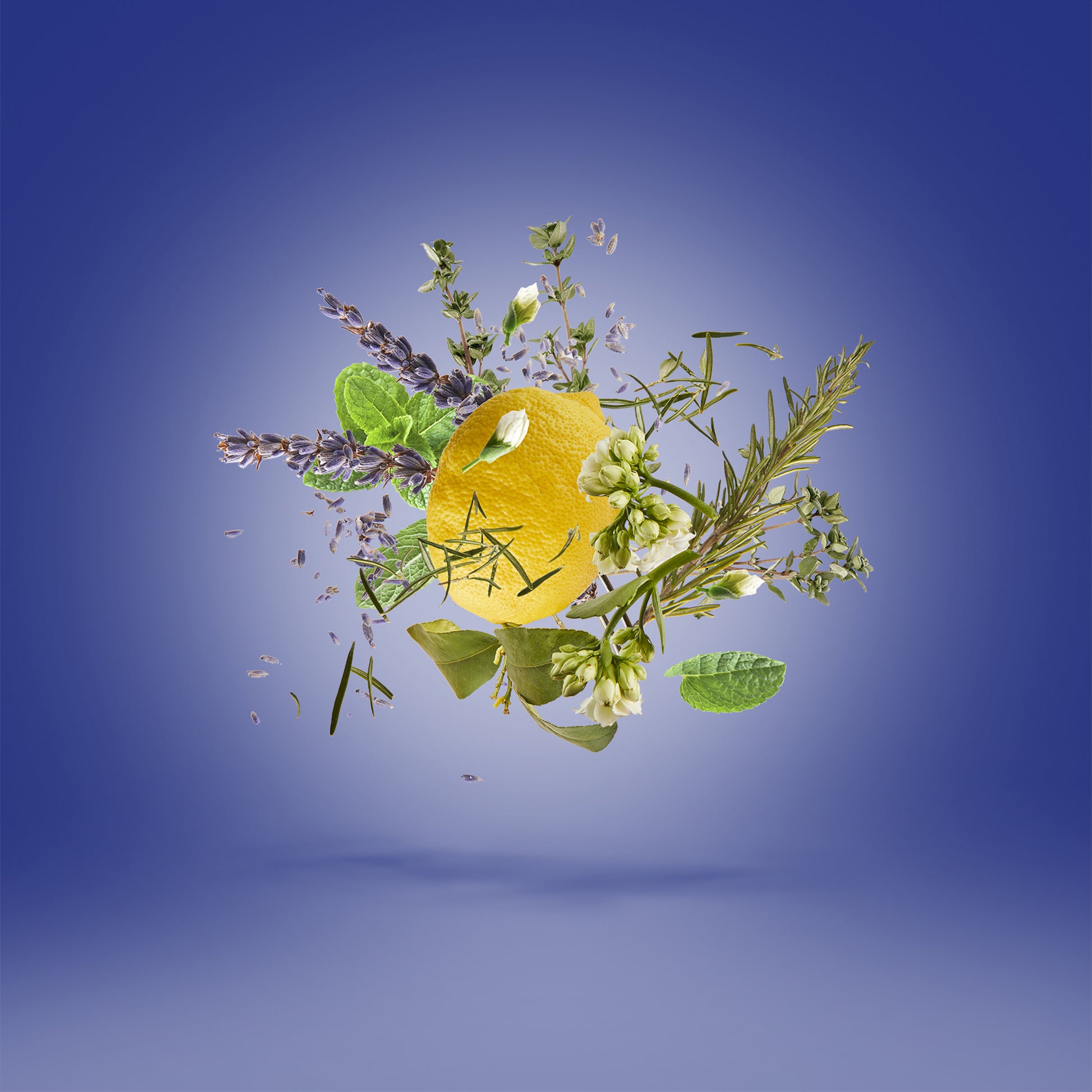 Torino21 Gift Set: give the gift of scent | Xerjoff