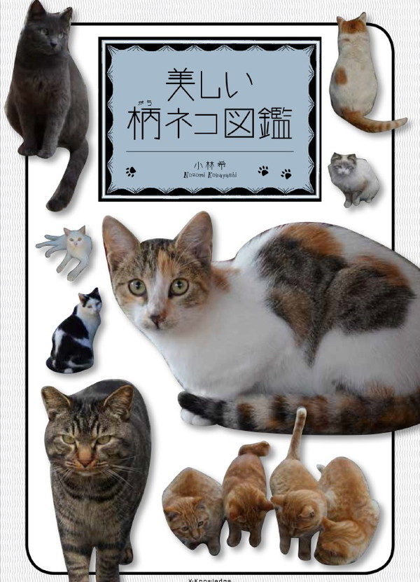 X-Knowledge | 美しい柄ネコ図鑑