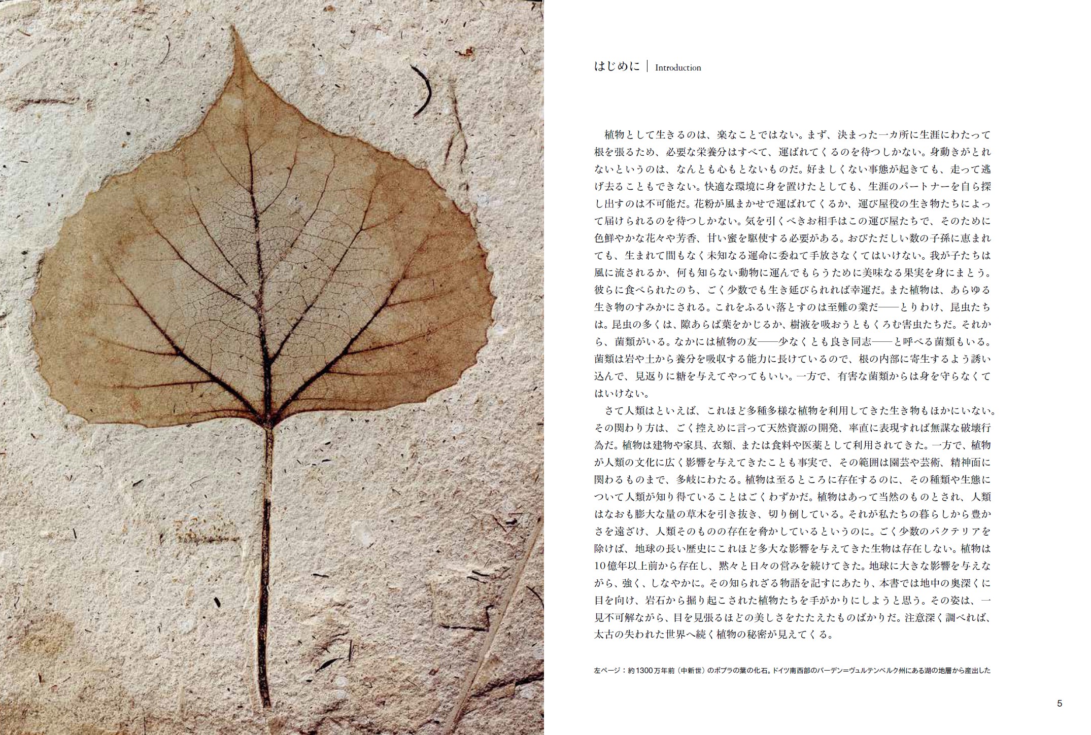 X-Knowledge | 世界を変えた50の植物化石