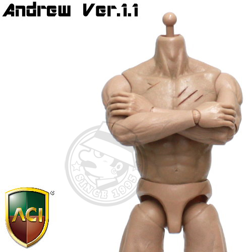ACI Toys - 1/6 Body Series - Andrew Ver.1.1 (Scar Version