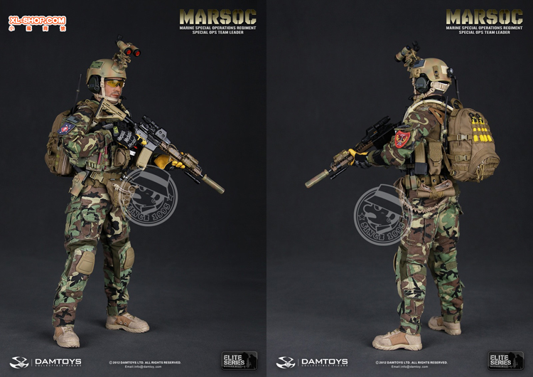 DAMTOYS - 1/6 Elite Series 78006 - Marine Special Operations
