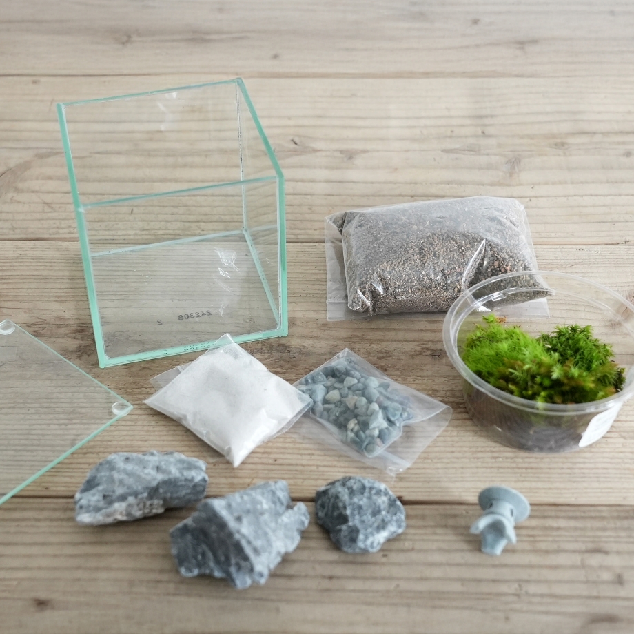 苔テラリウム | 苔テラリウム専門サイト｜道草michikusa | 苔