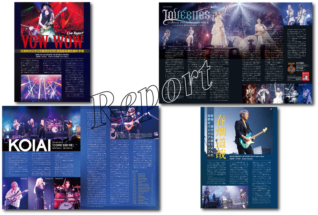 ヤマハ】ヤマハムックシリーズ212 大人のギター倶楽部vol.5 - ムック