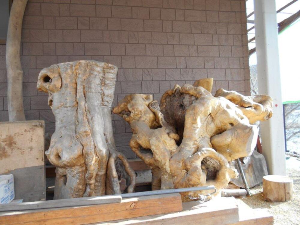 天然木の根のオブジェほしい方いらっしゃいますか？ | 長野県上田市の