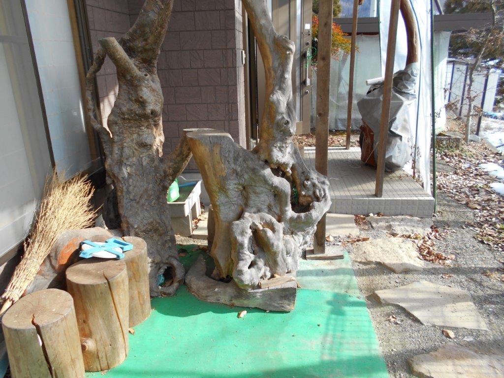 天然木の根のオブジェほしい方いらっしゃいますか？ | 長野県上田市の