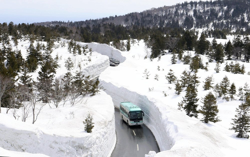 8mの雪の壁、青森の「八甲田・十和田ゴールドライン」開通…「雪国