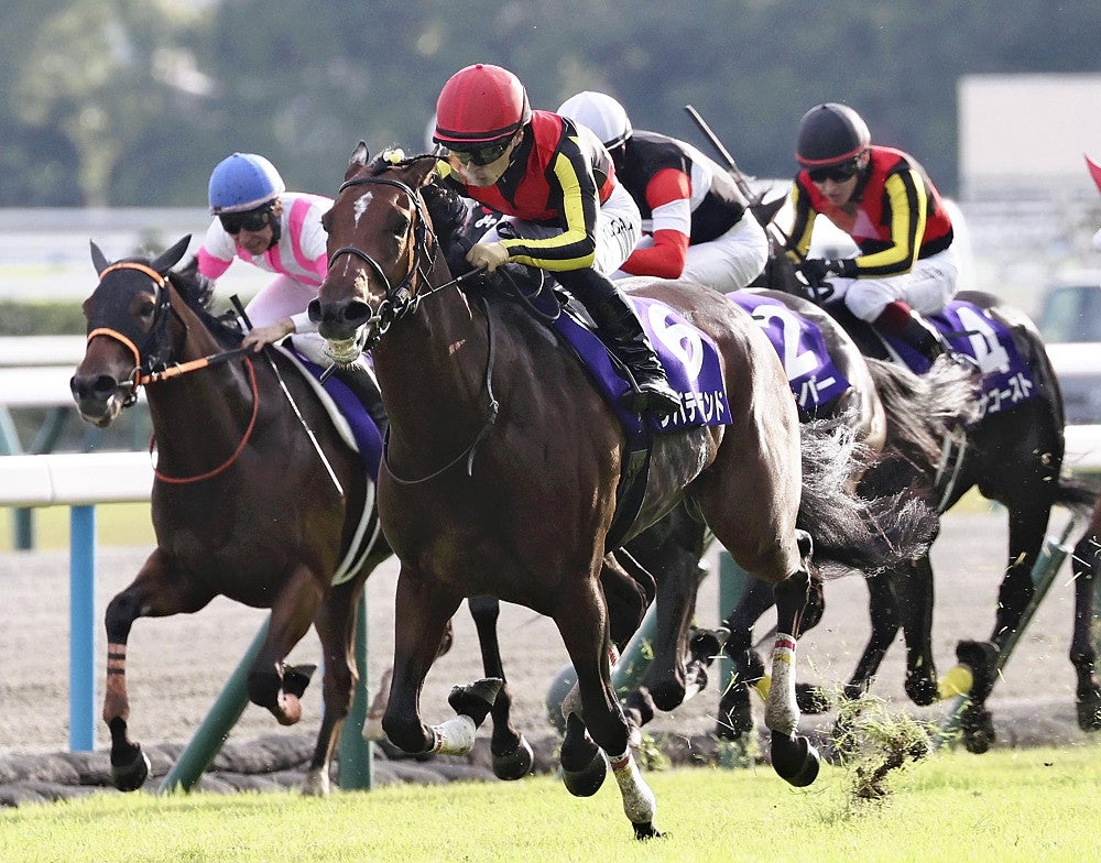 香港GIクイーンエリザベス2世カップ出走のリバティアイランドが安楽