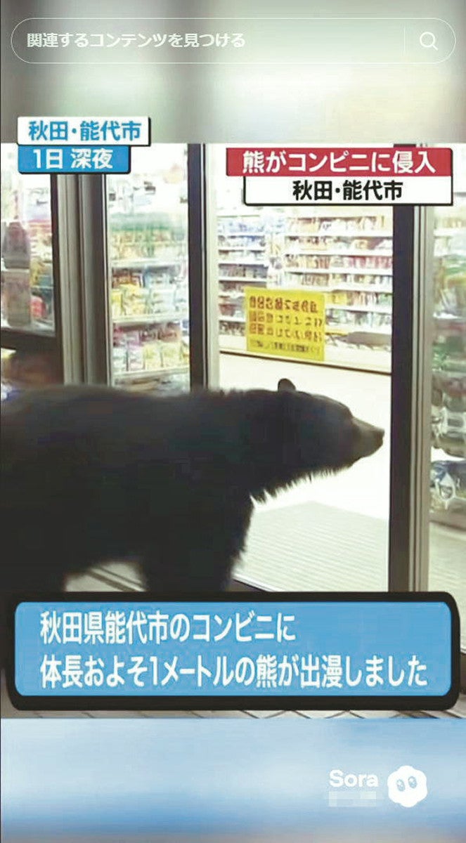 クマを「素手で撃退」「おばあちゃんが餌付け」…生成AIで偽動画