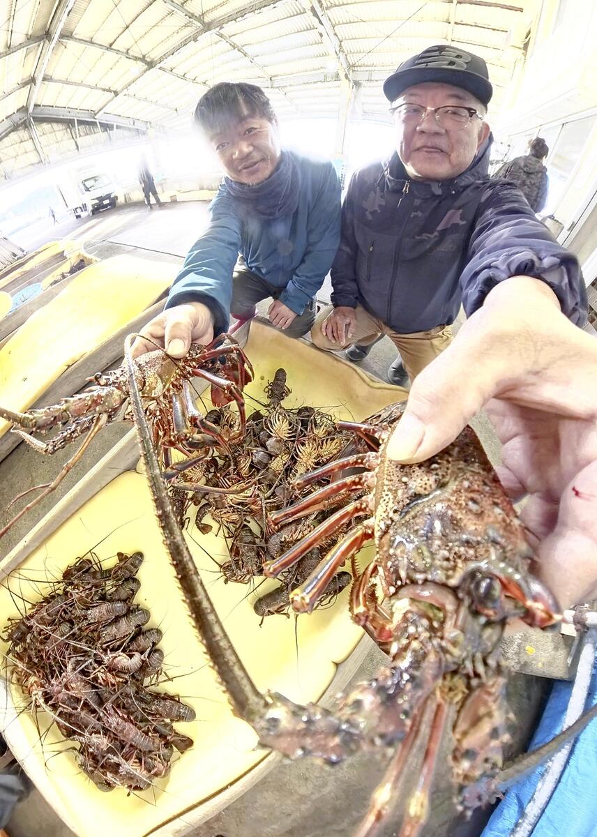 三重：伊勢エビ 県の宝 ：地域ニュース : 読売新聞
