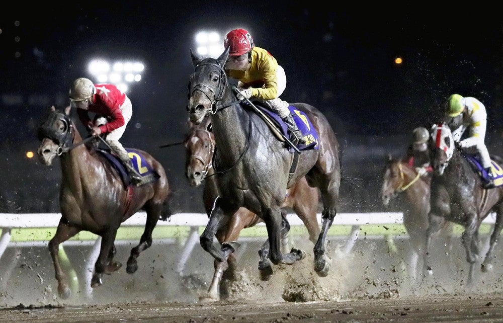 3歳馬のダート三冠、24年に創設…羽田盃・東京ダービーを中央馬に